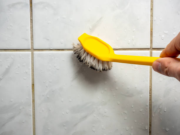 Best Black Mold Remediation in Bassett, VA