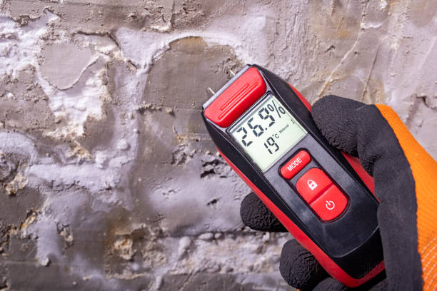 Best Residential Mold Remediation in Bassett, VA