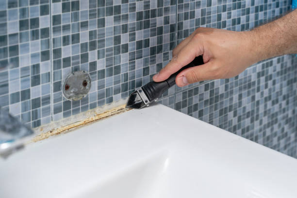 Best Preventive Mold Services in Bassett, VA