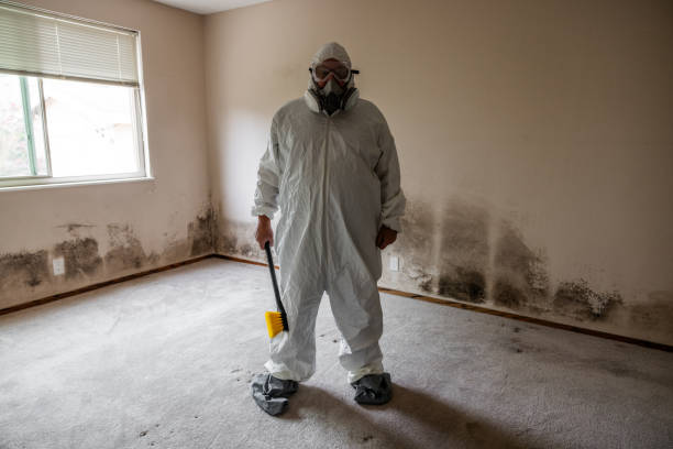 Best Post-Flood Mold Remediation in Bassett, VA